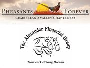 The Alexander Financial Group