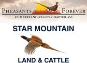 Star Mountain Land & Cattle